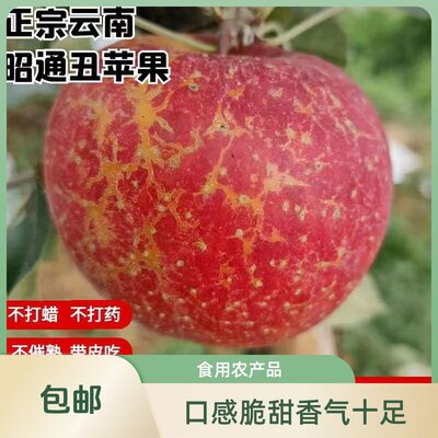 正宗农家云南昭通苹果冰糖心新鲜农家纯甜多汁丑苹果包邮