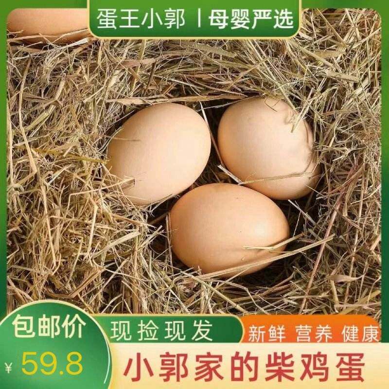 柴鸡蛋30枚装密云小郭家