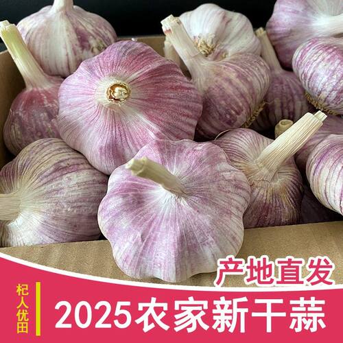 农家新晒5斤新干蒜紫白皮大蒜头产地特大果干大蒜河南1斤3斤9斤蒜