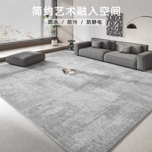 卧室防水免打理 地毯客厅轻奢高级灰色沙发地垫大面积全铺2024新款
