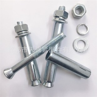 M6-M24金属膨胀螺丝 工厂直供大头小头非标膨胀螺丝 加长膨胀螺栓