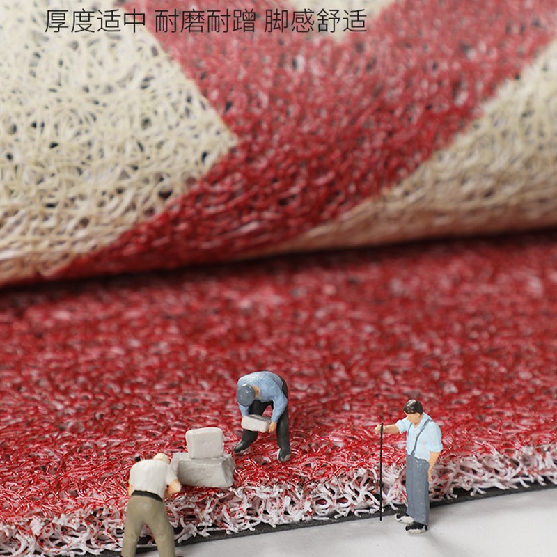 入户门地垫进门门口丝圈脚垫兔年新款出入平安玄关门垫子进户地毯