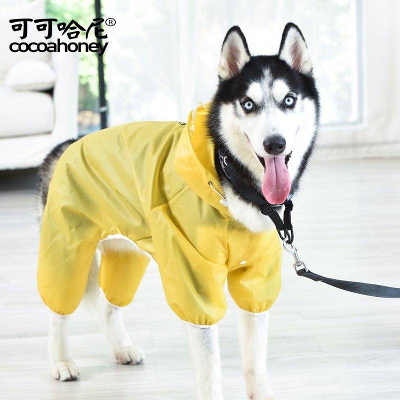 小狗狗雨衣四脚防水透明泰迪雨披宠物雨天衣服小型中型犬比熊博美