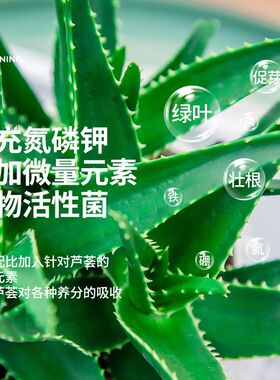 芦荟营养液肥料专用肥防烂根急救黄叶有机液体肥家庭园艺盆栽通用