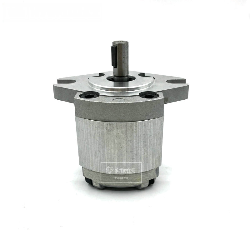 品质精品齿轮泵P101/P102/P104/P105/P106/P107/P108/P109 RP01GT