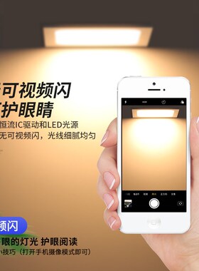 led15x15嵌入式网格吊顶黑色双头方形筒灯10x20葡萄架照明工厂