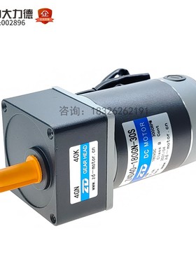Z4D40-180GN/30S-4GN40K中大直流电机180V 40W制冰机专用