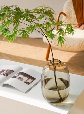 MOMO HOME家居简约马醉木花瓶大肚玻璃透明客厅插花摆件落地