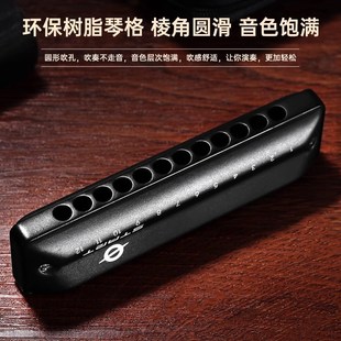 飞繁12孔布鲁斯口琴全音阶十二孔口琴初学者入门成人专业演奏乐器