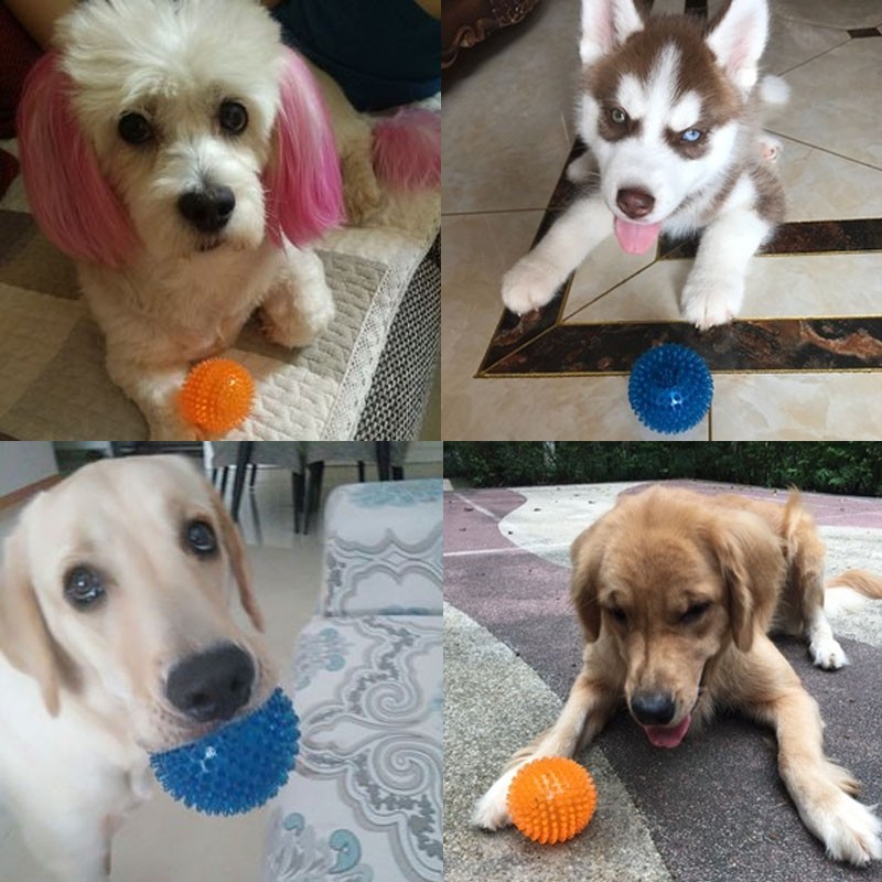 宜特宠物狗狗洁齿玩具球 大型犬幼犬金毛泰迪狗咬 训狗耐咬弹力球