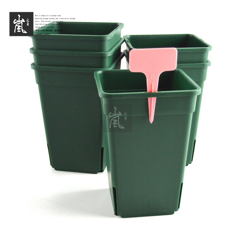 套餐丨【6个装】欧月铁线莲M14方盆 控根盆 多肉植物盆