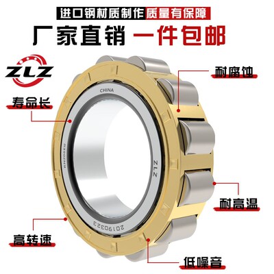 RN205/M RN206 RN307 RN309 RN312 RN219/ECM减速偏心轴承