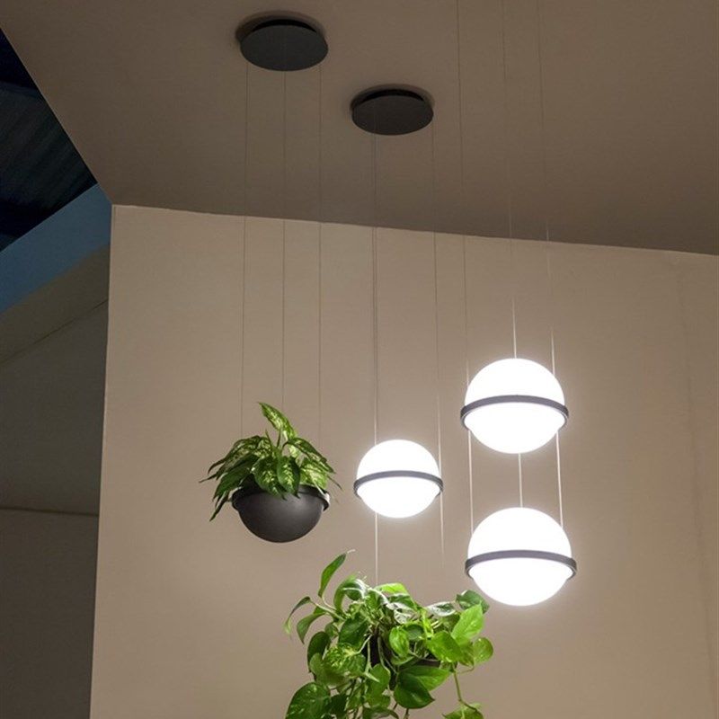 植物吊灯卧室床头花草吧台酒吧创意个性北欧现代音乐餐厅橱窗吊灯