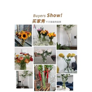 水培玻璃花瓶富贵竹观音竹专用花瓶客厅插花摆件直筒透明花卉植物