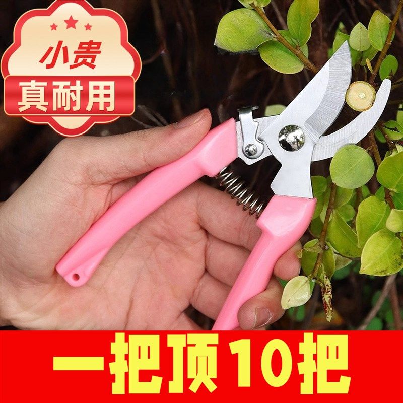 花艺剪刀修枝剪花店修剪花枝鲜花果树玫瑰去刺器插花专用家用园艺