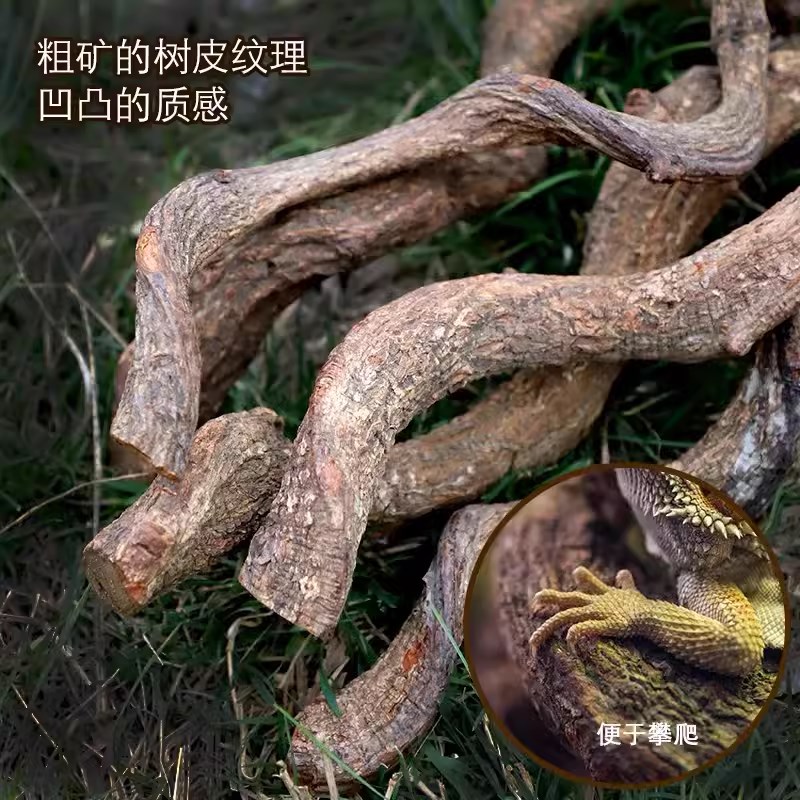 爬宠攀爬藤蔓过江龙装饰树蛙蛙变色龙蜥蜴造景植物树栖雨林缸藤条