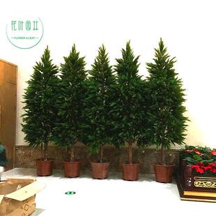 彷真柏树松树枝苗杉树松叶子假刺柏塔柏装饰塑料玻璃纤维大型柏树