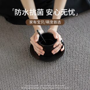 地毯客厅奶油风免洗可擦轻奢高级感硅藻丝防水防污沙发茶几毯地垫