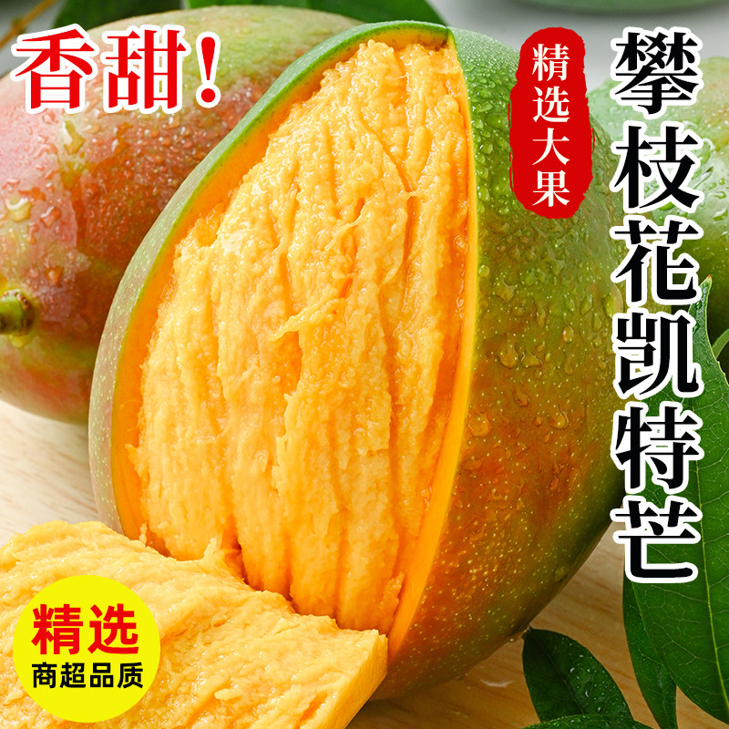 正宗四川攀枝花凯特芒果9斤新鲜当季整箱水果现摘大青皮芒果包邮3