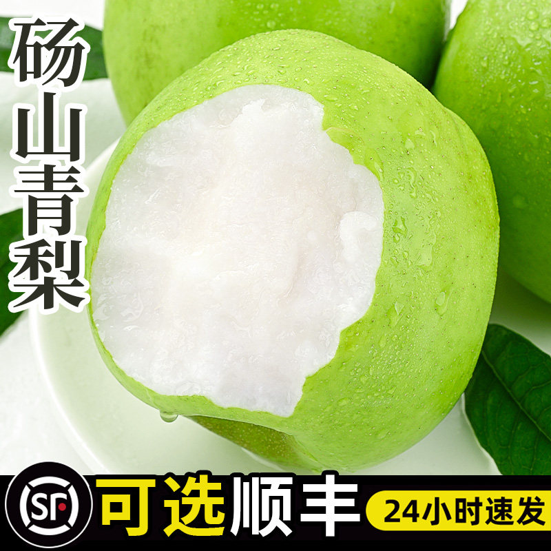 砀山梨顺丰可选现货速发