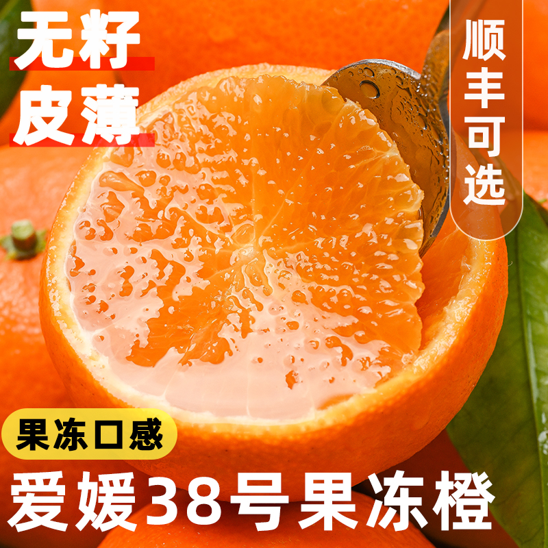 顺丰可选丨爱媛38号果冻橙丨速发