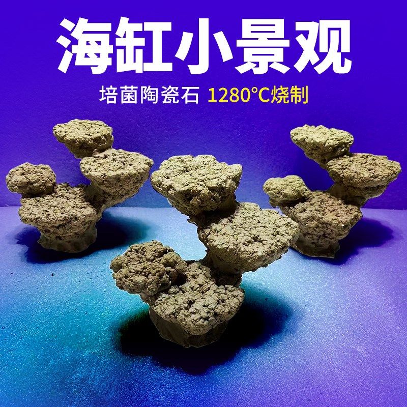 海缸软体硬骨珊瑚小丑鱼造景人造石死石免爆藻高培菌现货海水景观