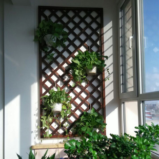 实木网格植物爬藤架客厅壁挂装 花架子 饰室内阳台靠墙上绿萝悬挂式