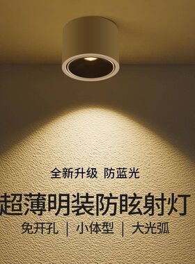 明装射灯超薄暖光家用客厅无主灯C圆形吸顶过道灯可调角度防眩筒