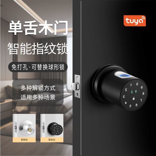 室内指纹锁家用木门智能办公室卧室球形执手密码电子锁涂鸦通用型