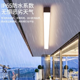 阳光房专用吸顶灯户外阳台入户灯防雨走廊顶灯长条露台屋檐阳光棚