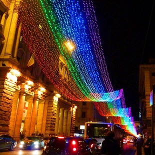 树上挂的彩灯闪灯串灯满天星户外灯光秀led树木亮化灯树枝装饰灯