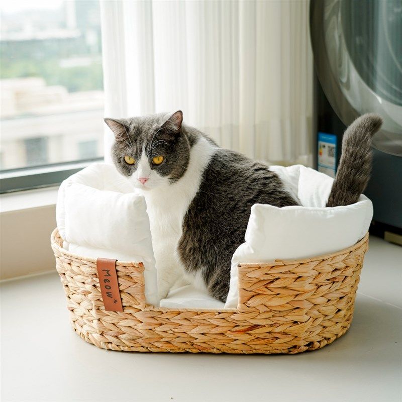 清凉夏季猫窝凉感窝藤编狗窝小型犬四季通用手工编织日式奶油风,宠物/宠物食品及用品,猫窝/屋/帐篷/沙发,淘宝优惠券,粉丝福利购,淘宝优惠卷
