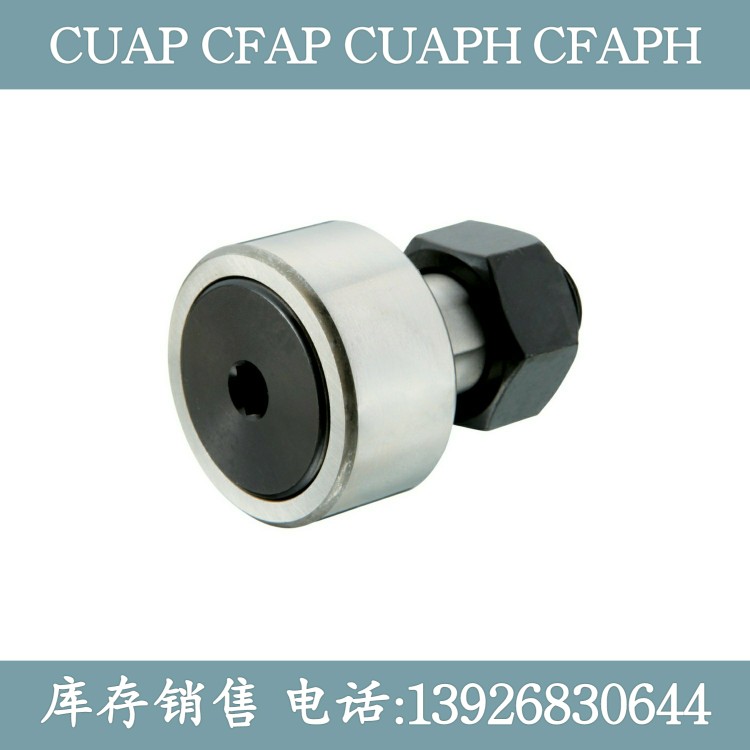 偏心凸轮随动器CUAP8-19