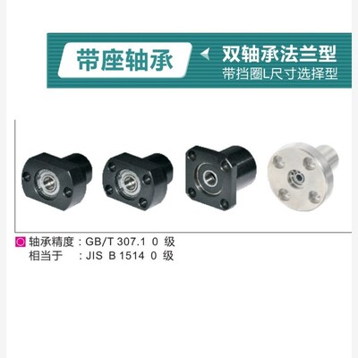 BFP31451带座轴承双法