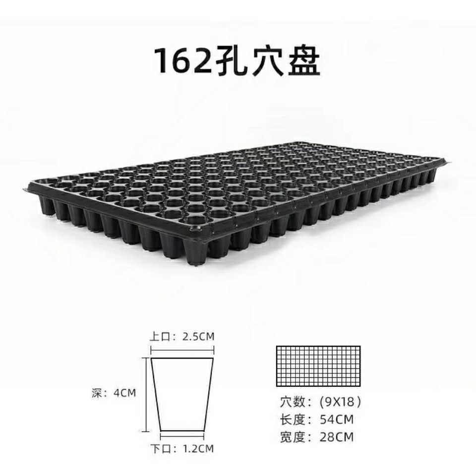 育苗穴盘162孔国标育苗盘辣椒 芹菜蔬菜通用型苗盘加厚耐折韧性强