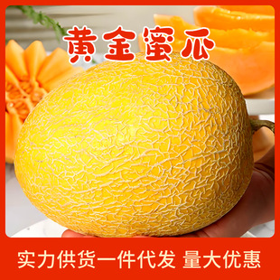 【普快】海南黄金蜜瓜3/5/9斤金色年华蜜瓜新鲜时令当季水果甜