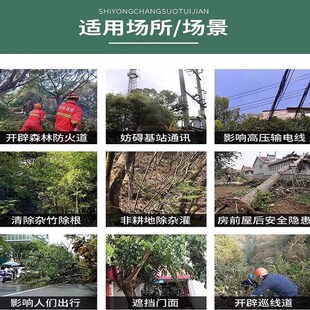 灭根粉灭树粉烂根粉枯树粉强力灭竹子一扫光不返青四季除树剂S