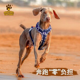 猫兄狗弟新款背心式狗狗胸背带可提拉防挣脱柯基金毛拉布拉多