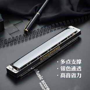24孔口琴高级成人专业演奏级孔声复音口琴2410P