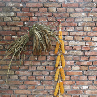 五谷丰登挂饰农家乐干玉米棒子农作物装饰玉米穗带皮真玉米串挂件