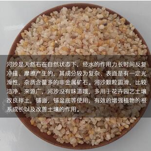 天然粗河沙细河沙多肉营养土沙土兰花种植包邮铺面拌土颗粒土