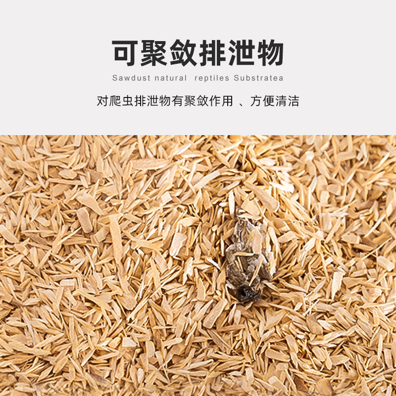 Knowing诺茵白杨木屑垫材玩具蛇宠物蛇球蟒仓鼠刺猬爬宠造景垫材