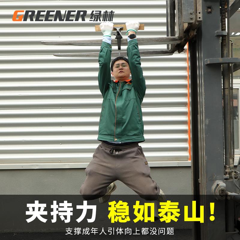 绿林台钳小型多功能家用万向迷你台虎桌钳工作台小虎钳台木工夹具