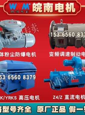 安徽皖南b电机YKK/YRKK/YRKS/YR/YLKK/YKBL高压电动机