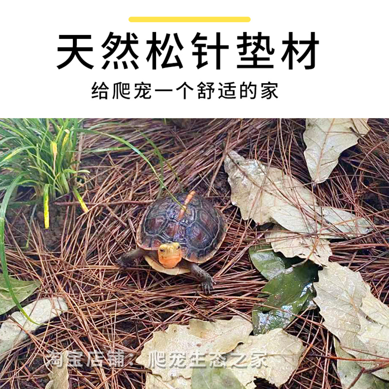 松针垫材黄缘龟饲养箱生态环境造景仿自然雨林缸爬宠半水龟缸专用
