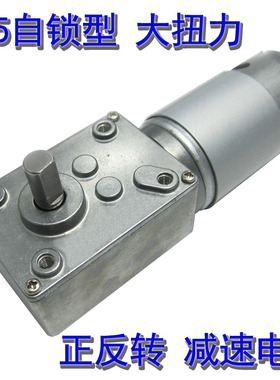 555自锁型12V-24V微型直流减速电机大扭矩低速正反转涡轮蜗杆马达