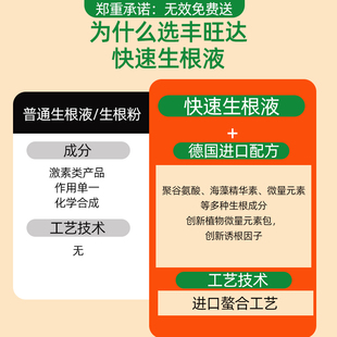 快速生根营养液强力生根粉捍插扦插壮苗剂植物通用移栽树木生根水
