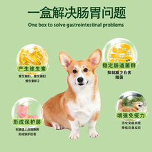 遇见小宠物猫咪狗狗益生菌妈咪爱肠胃宝调理肠胃营养补充剂