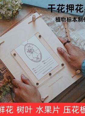干压板押器鲜标制作工具玫瑰树叶画书签材料包