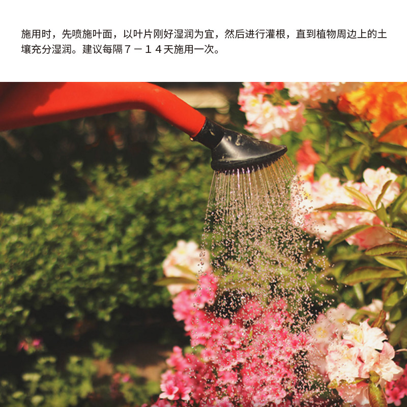 仙葩水溶肥号平衡型促壮苗多肉月季兰促肥料